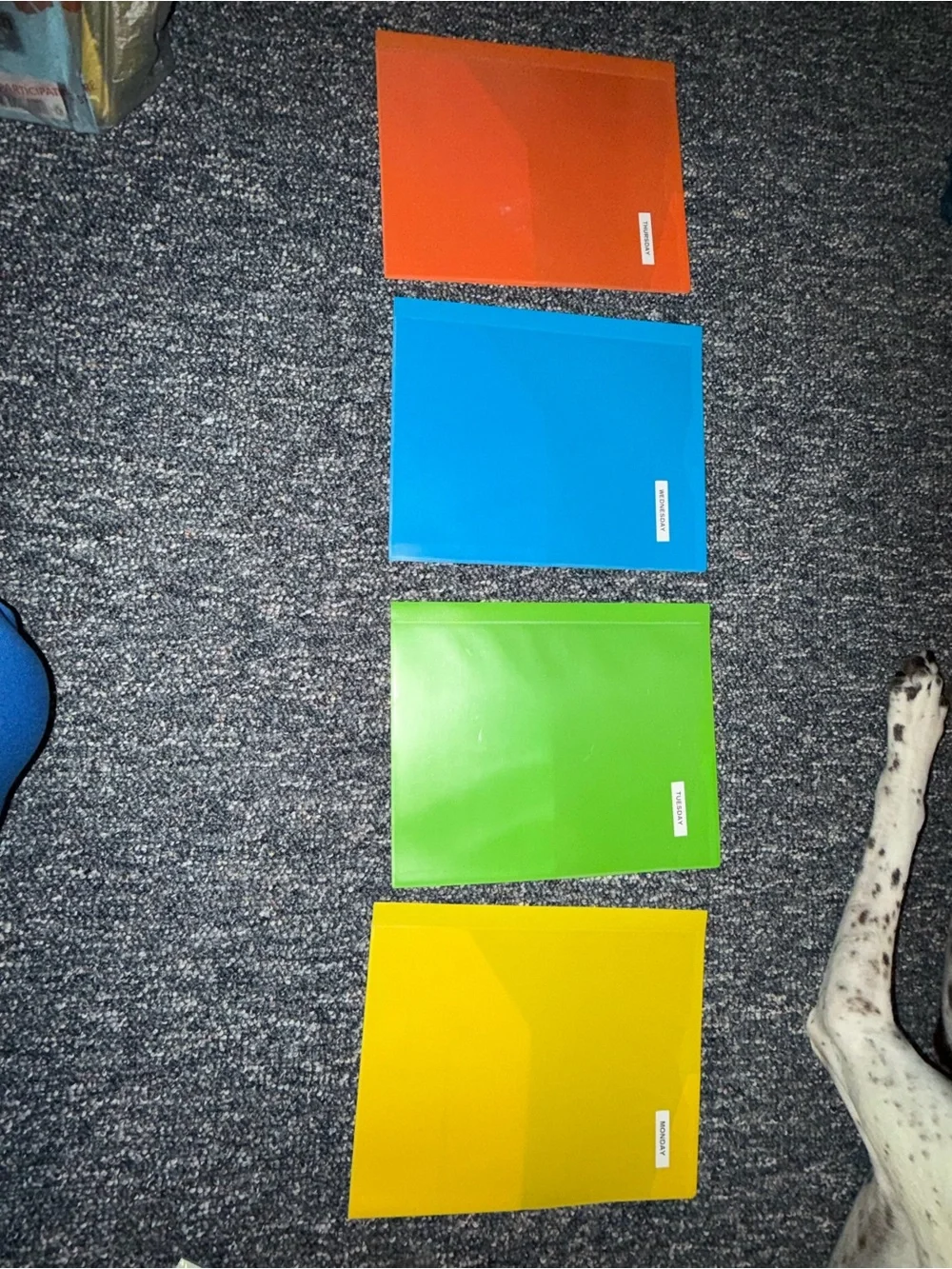 Set of 4 Colorful Plastic Binders - Orange, Blue, Green, Yellow